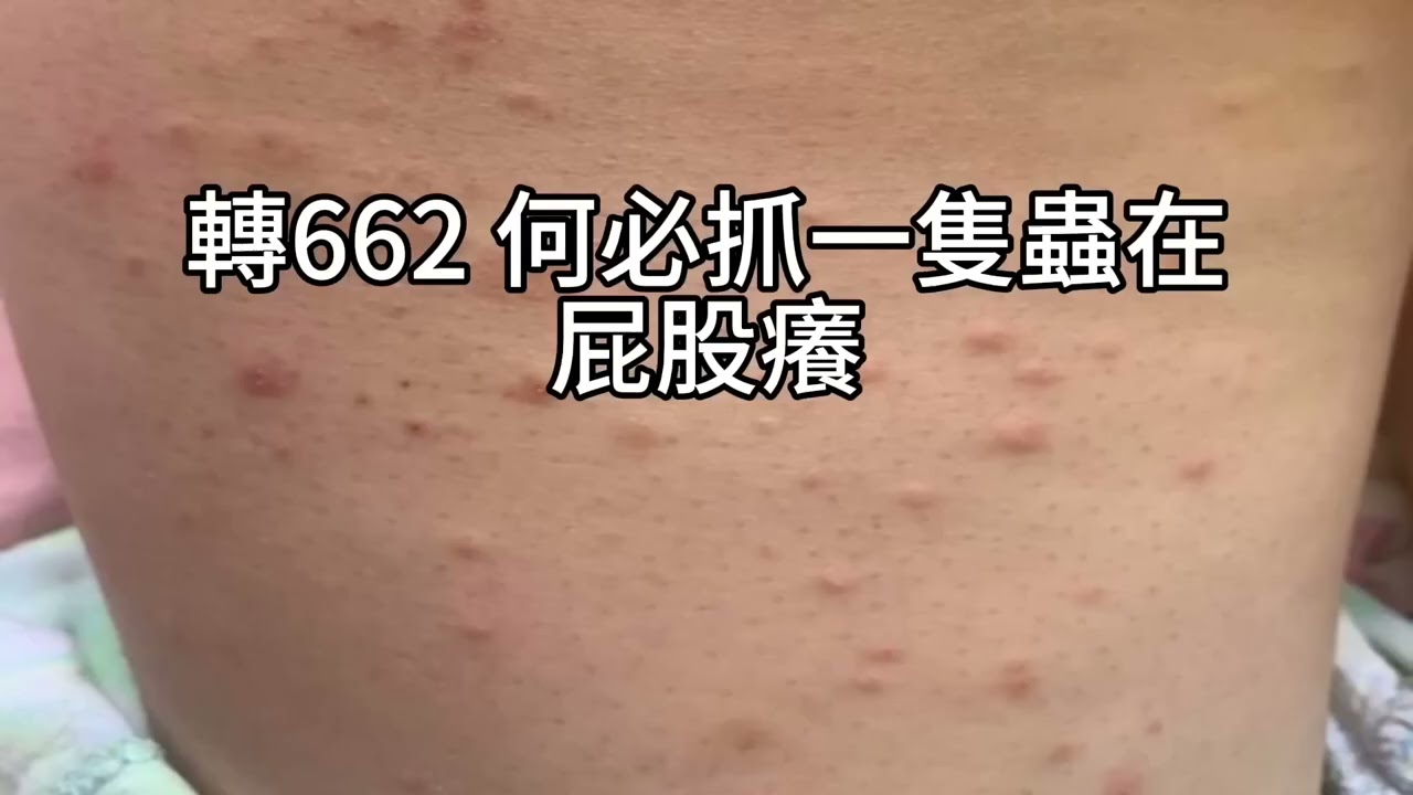 短篇【一家三口的配置實戰：夫妻433×質押上軌道、媽媽安心領息、兒子定投路線】2025年11月10日
