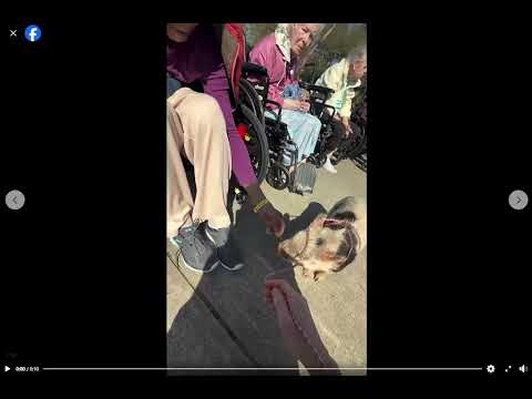 Goldy's(South)FarmAnimalSanctuary.(FB)ByJanine&Betsy in Aiken,SC.PercyEntertains the Residents.