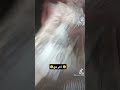 اخر شي تحفةة بالتواسيل يلا انطتنيي