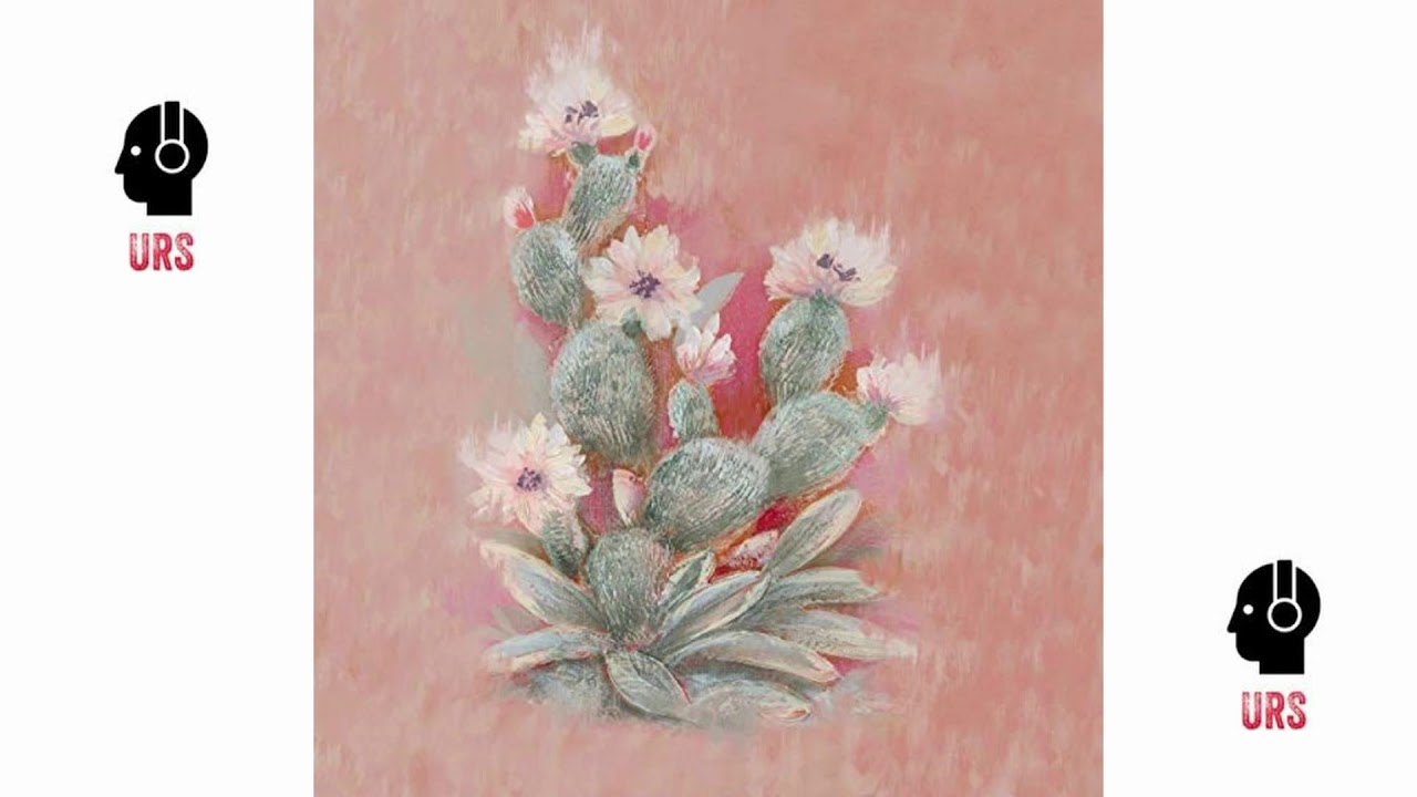 Watch Cactus - Beam on YouTube Watch Cactus - Beam on YouTube