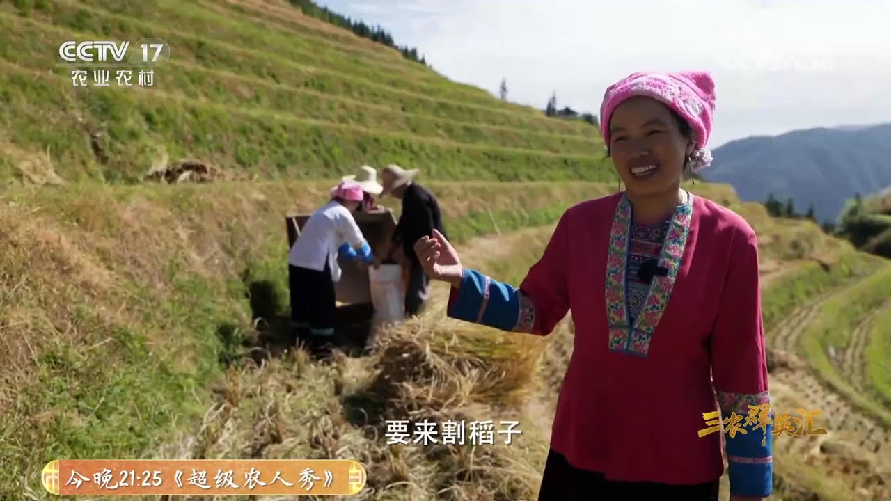 《三农群英汇》 20250625 田间十二时辰——土地的答案 | 农业致富经 Agriculture And Farming