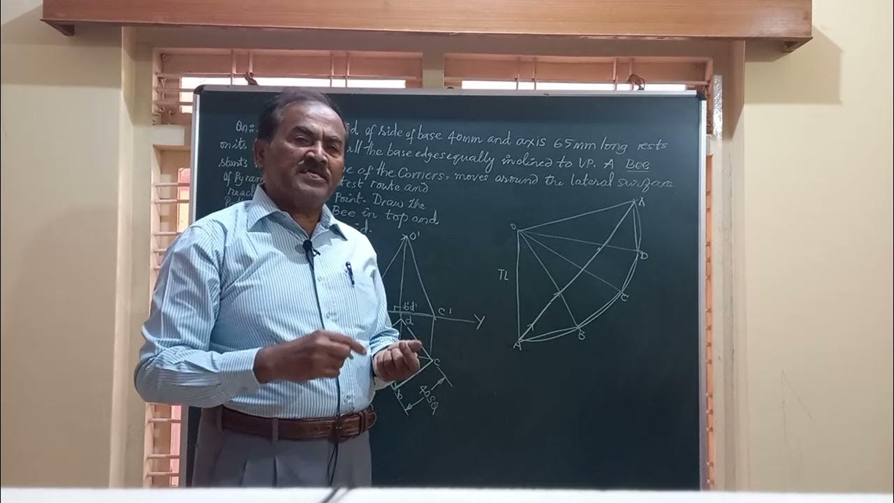 bee-moving-on-the-lateral-surface-of-square-pyramid-video-no-323