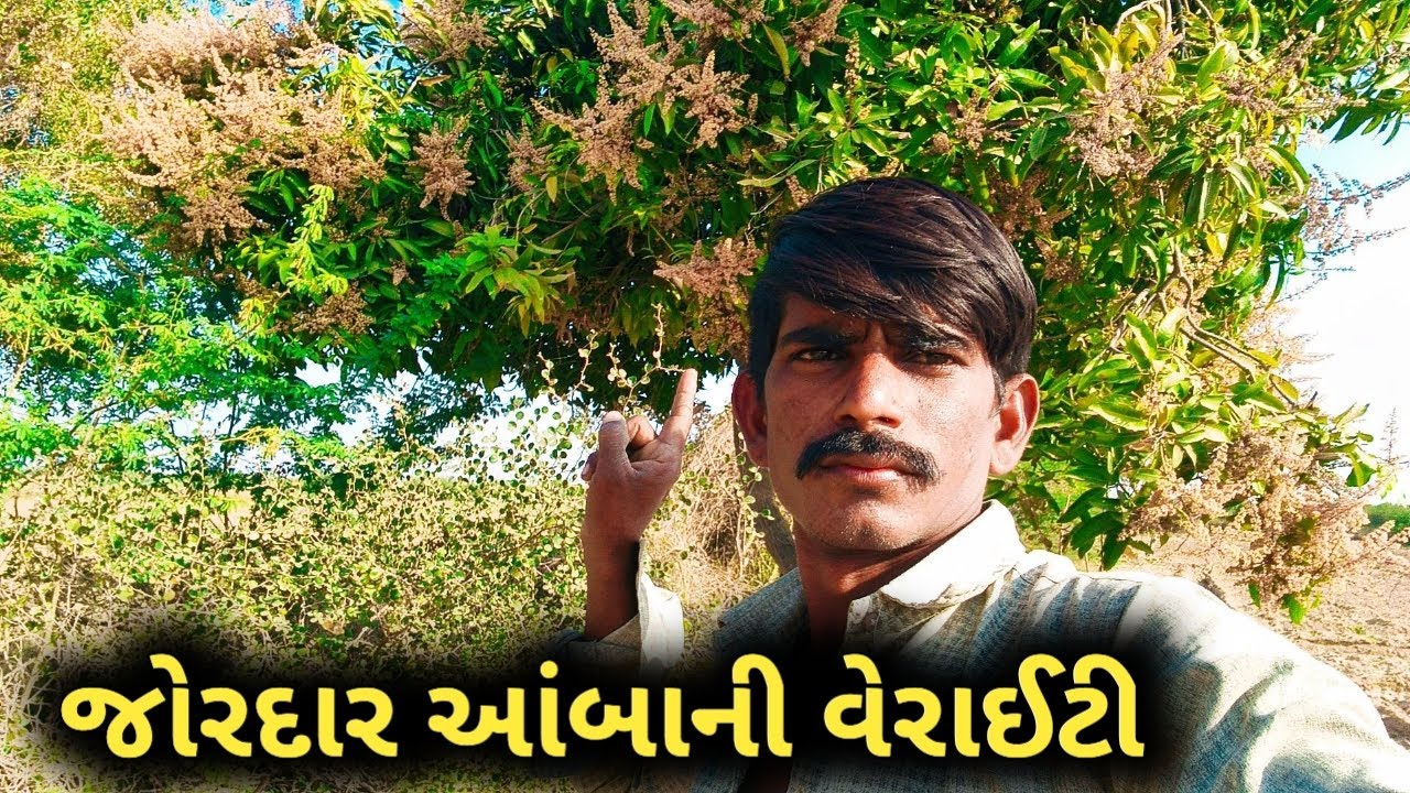 જોરદાર આંબાની વેરાઈટી. #varshachoudhariofficial #funny 