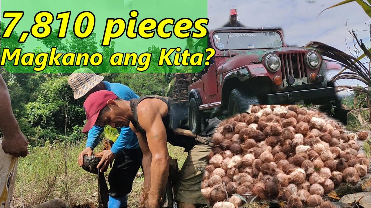 Part 2:Buhay Mag-Niniyog sa Aurora Province:Paano at Magkano ang aming Kinikita?