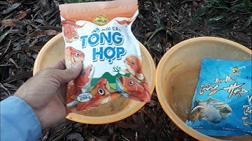 Bí Quyết Câu Cá Hồ Tự Nhiên – Mồi Tổng Hợp Cực Nhạy, Cá To Dính Liên Tiếp