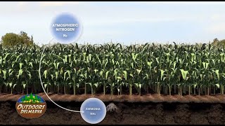 Learning About Pivot Bio