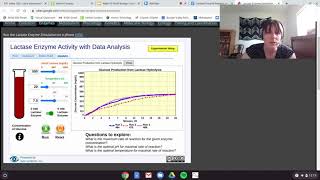 Celebrity Lactase Lab Net Worth