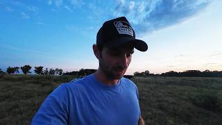 I left my Wife for the Heifers