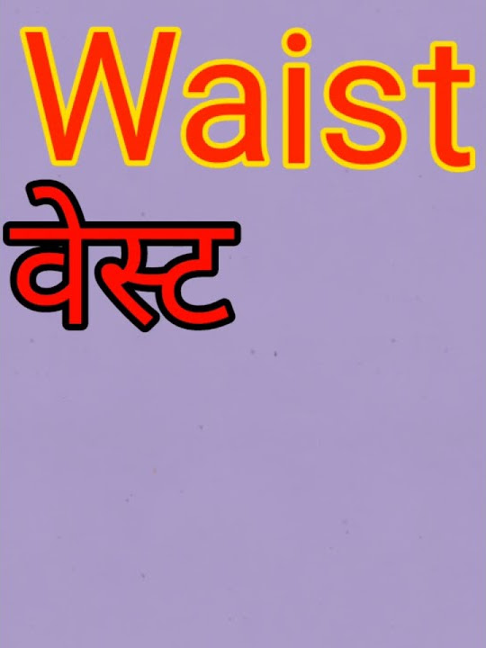 Waist Meaning In Hindi With Photo waist-meaning-in-hindi-with-photo
