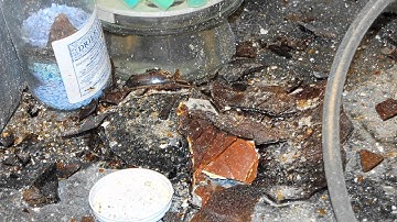 Experimenting with Danger