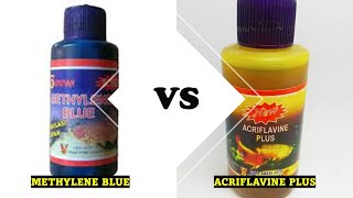 Acriflavine Plus VS Methylene Blue (perbandingan obat ikan)