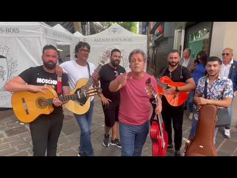 Les Gypsies fêtent la musique au château