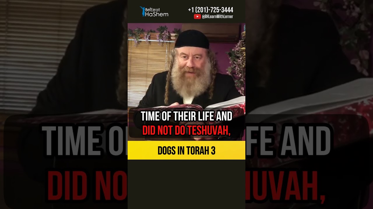 3️⃣ Dogs in Torah 🐶 Severity of Immorality and Intermarriage 