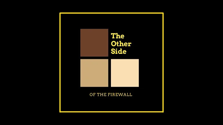 Supreme Court Ruling on CFAA - The Other Side of the Firewall Episode 72