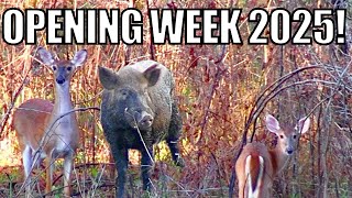 Opening Week Madness: Georgia Deer Season 2025 Kickoff