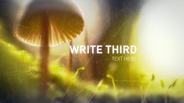 Universal Parallax Slideshow After Effects Templates