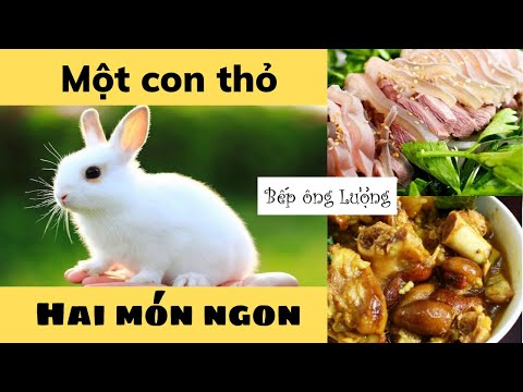 Video Một Con Thỏ mà làm được 2 Món Siêu Ngon: Thịt Thỏ Hấp... - youtube