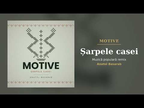 Șarpele casei | Muzică populară remix | MOTIVE | Anatol Basarab