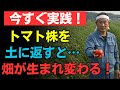 【今すぐ埋めよ】捨てないで!トマトの株を土に返すと病気予防&土がよみがえる秘密【園芸の知恵】|人生の知恵 |オーディオブック #自然農法 #家庭菜園初心者 #高齢者ライフ