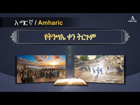 ቪዲዮ: ውበቱ ሩቅ ነው -የሶቪዬት ያለፈ በቫለንቲን ጉባሬቭ በአሳዛኝ የሕይወት ሥራዎች ውስጥ