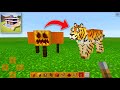 How to spawn tiger in craft world