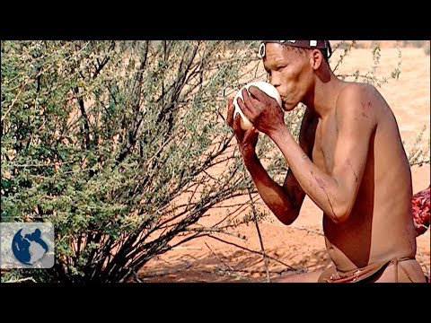 The Game of Life. Part 4
