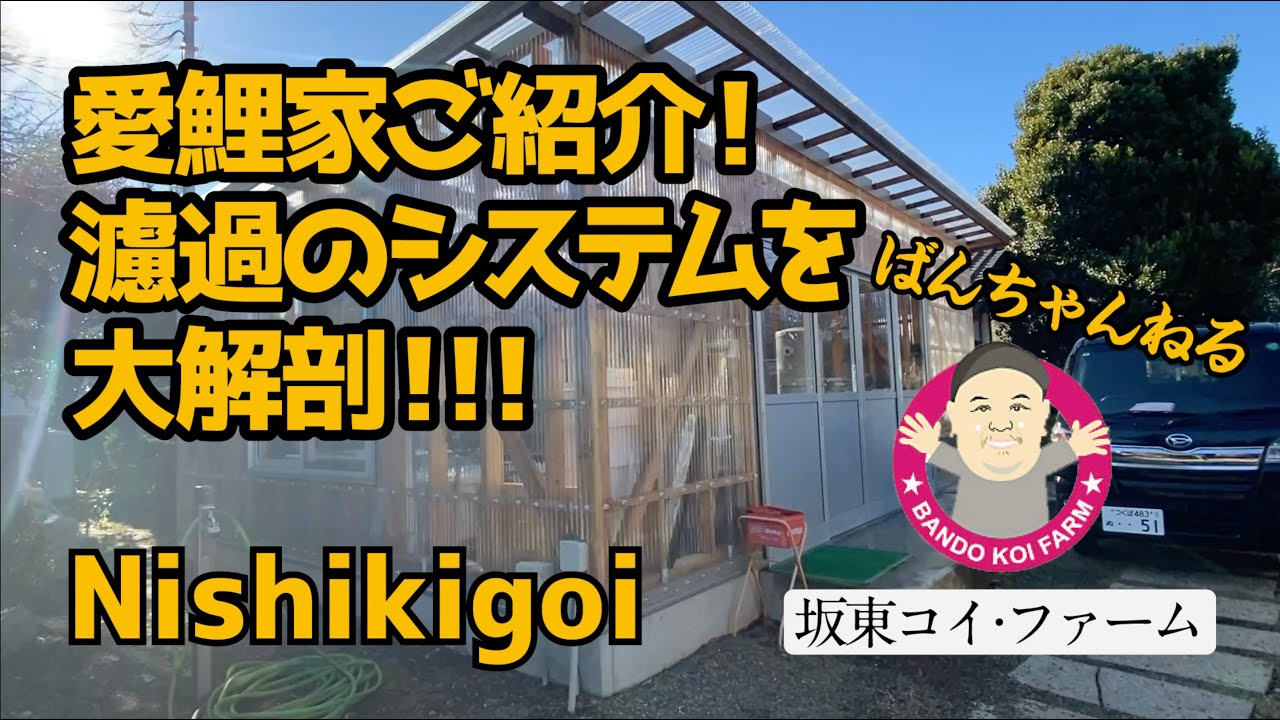 ［坂東コイ・ファーム］ばんちゃんねる　愛鯉家ご紹介！　ばんちゃんの濾過のシステムを大解剖！！！　