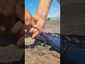 Smart Farmer Fixes Leaking Pipe in Seconds! 💧😲