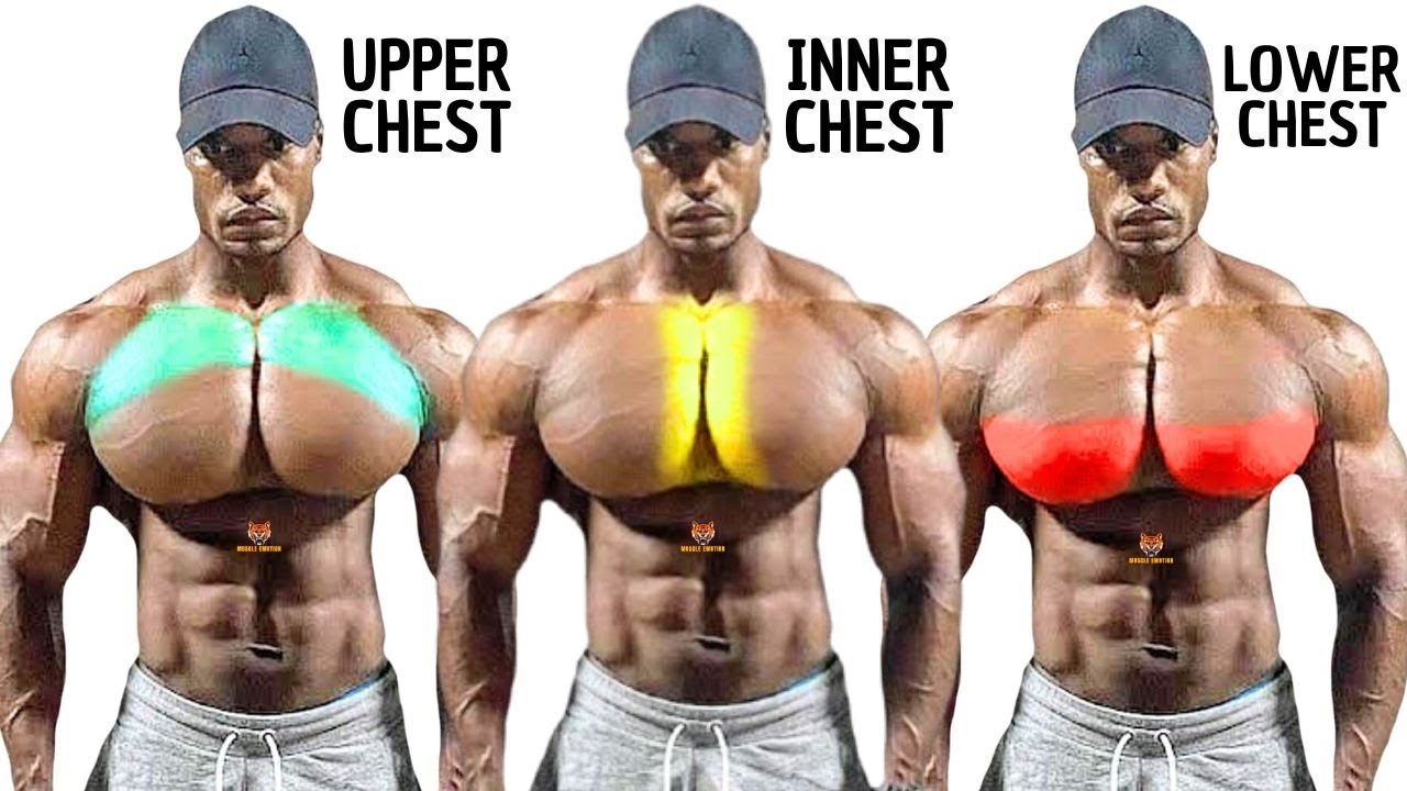 TOP 4 INNER, LOWER AND UPPER CHEST WORKOUT  WITH DUMBBELLS BARBELL CABLE AND MACHINE  AT  GYM