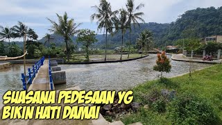 DAMAINYA KEHIDUPAN DI DESA INI DENGAN PEMANDANGAN YG SEJUK