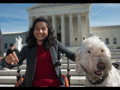 Video: Overwinning voor meisje met hersenverlamming nadat haar diensthond van school is verbannen