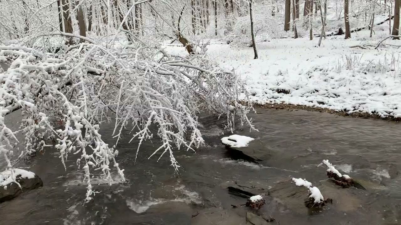 Winter Creek:  Mindful Moment   HD 1080p