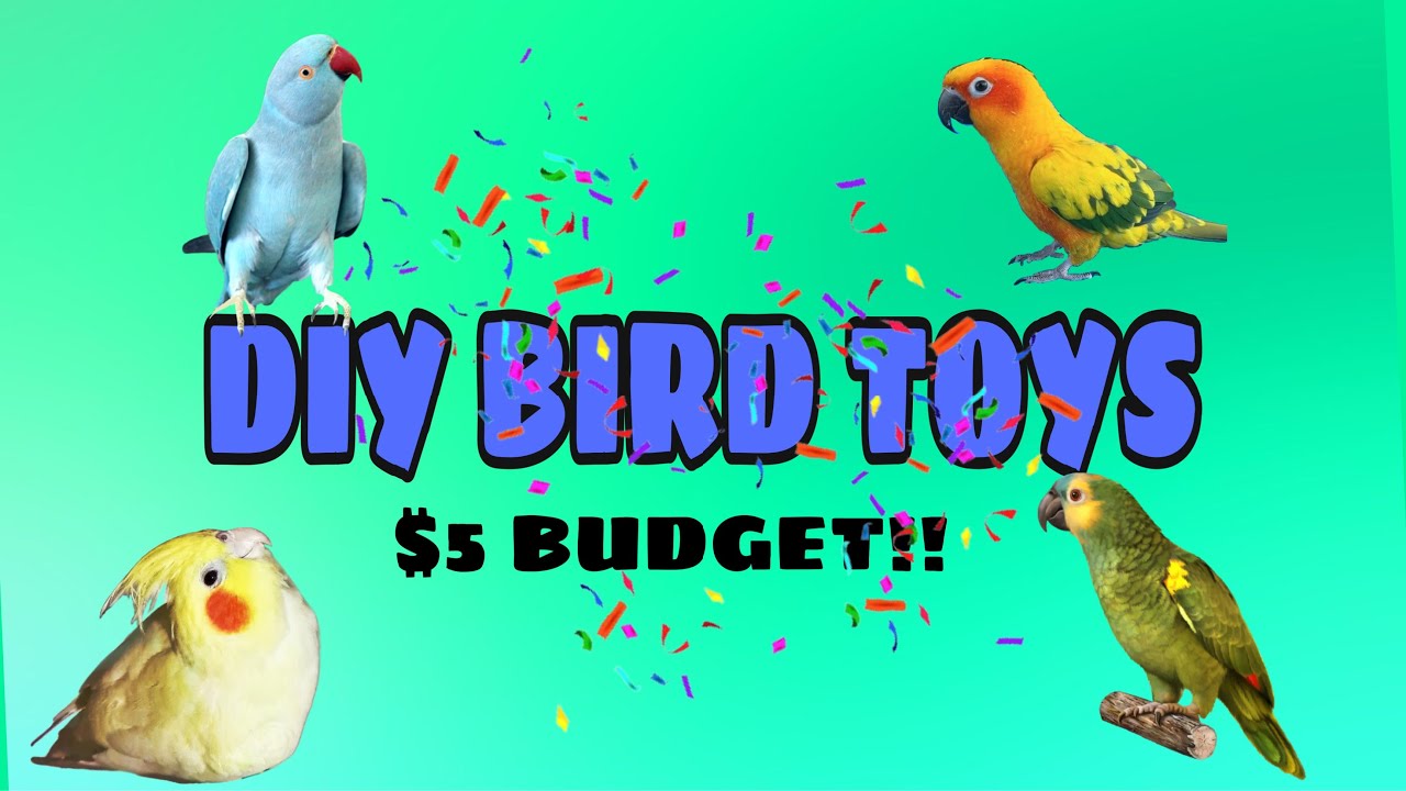 CHEAP DIY BIRD TOYS DIY Dollar Store Bird Toys YouTube