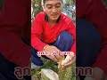 4 พฤษภาคม ค.ศ. 2026