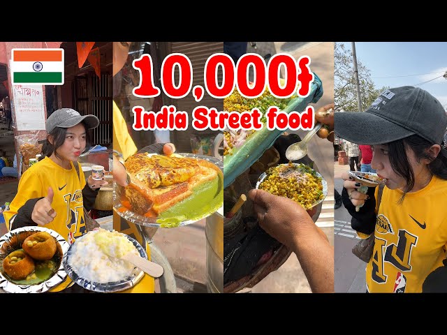 $2.5 India Street Food Challenge😋🇮🇳 class=