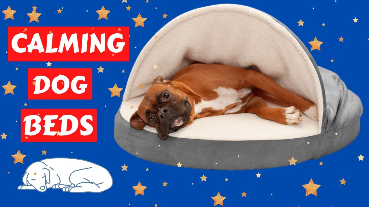 Dog beds amazon top 7 best dog beds on amazon 2020 (exclusive