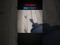 それは私の残像ですが?