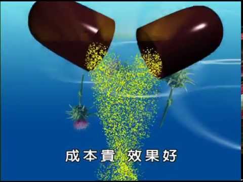 斯斯保肝膠囊｜五洲製藥｜廠長篇 20S