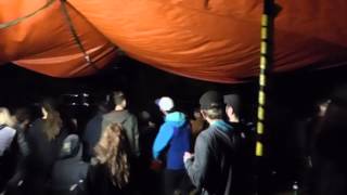 Dub The Wood Fest - Mellow Roots Train