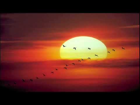 ونادوا يا مالك ليقض ع ل ي ن ا ر ب ك ياسر الدوسري 