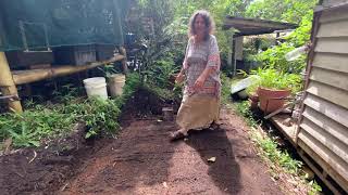 Crystal Waters Permaculture Village with Robin Clayfield, Excavations Day 1