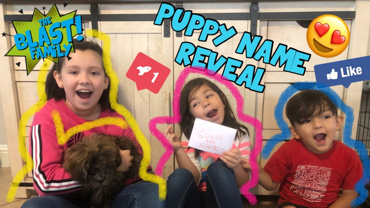 Family Treasure Hunt Revealing NEW Puppy Name