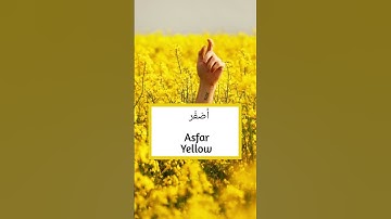 Learn All the Colors Name in Arabic. #arabiclearning #learnarabic #learnarabiceasily