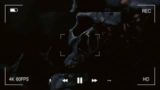 𝐃𝐞𝐚𝐝 𝐨𝐧 𝐚 𝐒𝐮𝐧𝐝𝐚𝐲 - 𝐒𝐨𝐦𝐞𝐛𝐨𝐝𝐲 𝐓𝐨𝐥𝐝 𝐌𝐞 𝐒𝐥𝐨𝐰𝐞𝐝-𝐑𝐞𝐯𝐞𝐫𝐛