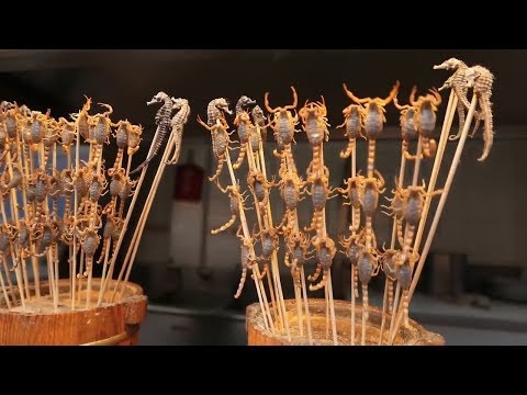 اغرب المأكولات والحيوانات التي يتم تناولها في الصين