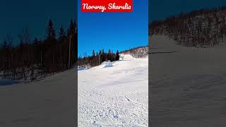 Norway, Skarslia!Synne on skis! #норвегія #norge #норвегия #norway #snow #skis #nature