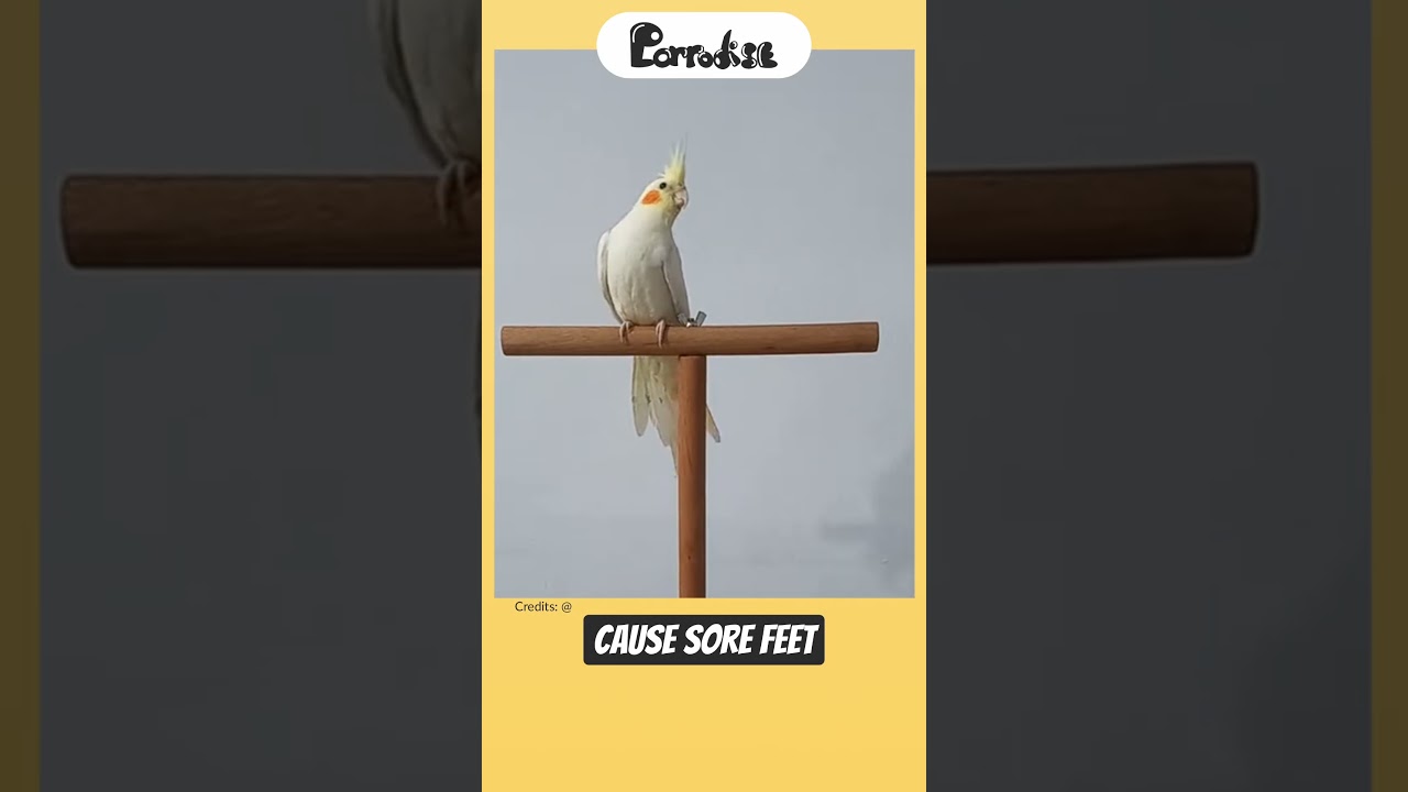 Вы используете не ту насест? ⚠️