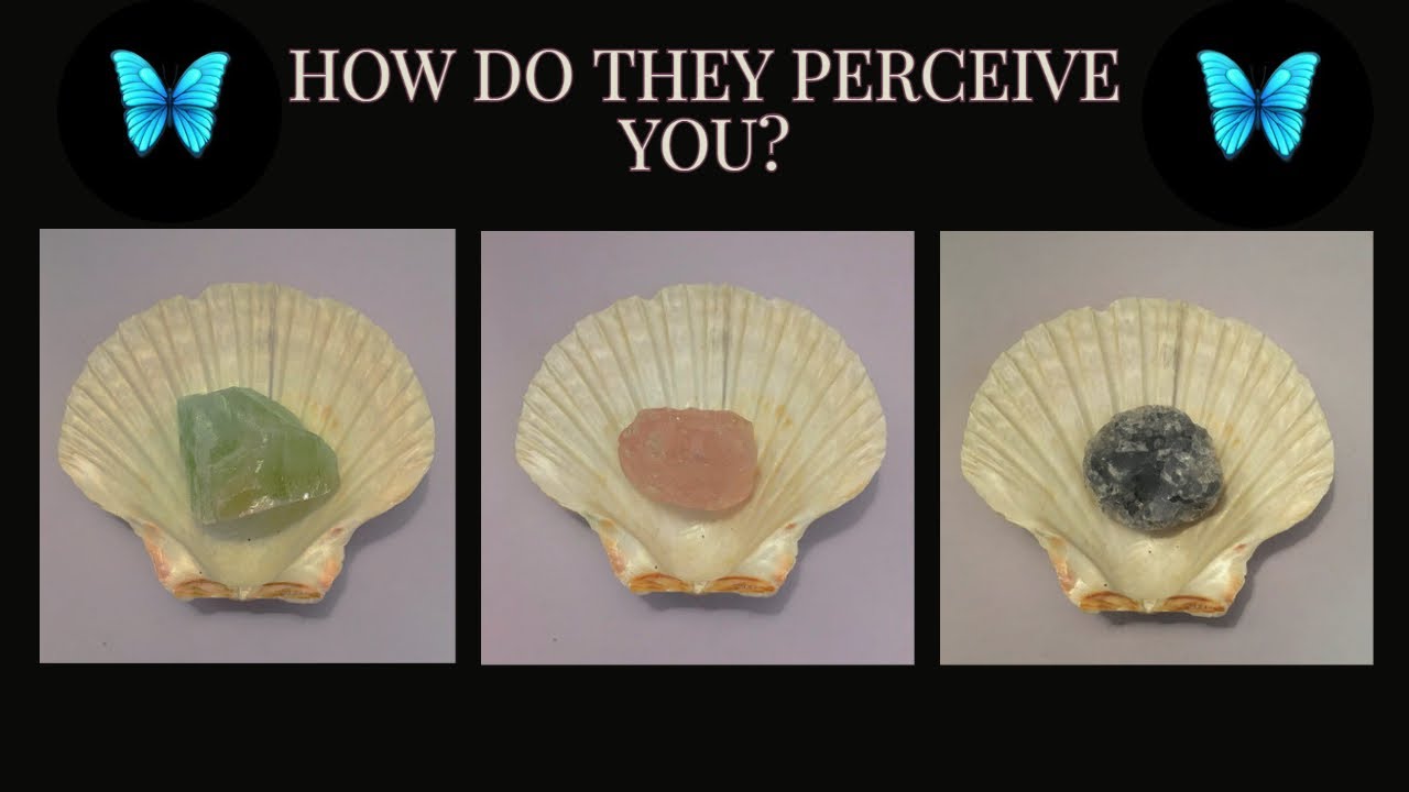🦋How Do They Perceive You?🦋 |PICK-A-CARD| |TAROT|