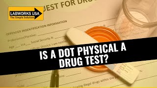 Is a DOT Physical a Drug Test? | What Does DOT Physical Test for & How to Prepare