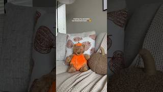 I’ve wanted a pumpkin bear for so long, so I finally DIY’d one myself 🍂🧡 #jellycat #fall #diy